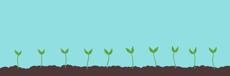 Seedlings field. Growing young plant. Agricultural shoots germination. Began to sprout. Spring season soil. Vector. Copy space. Horizontal banner.のイラスト素材
