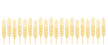 Wheat field. Agriculture cereal harvest. Dry grass. Vector illustration.のイラスト素材