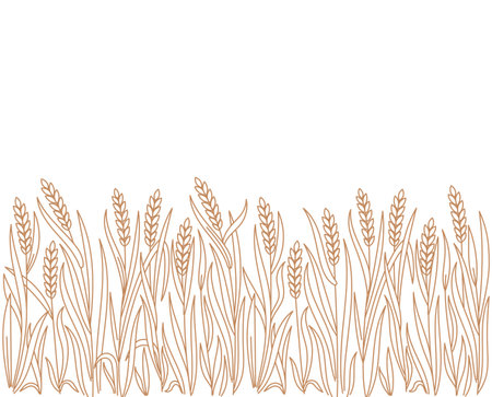 Ears of wheat rye or barley. Cereal agriculture field. Vector line. Editable outline stroke.のイラスト素材