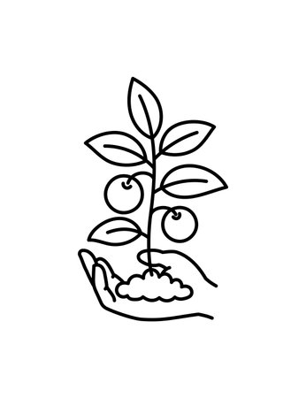 Hand holding young vegetable with fruits. Growth of plant. Care for nature. Vector line icon. Editable outline stroke.のイラスト素材