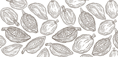Cocoa beans. Cocoa pattern background. Floral ornament. Hand drawn vector sketch.のイラスト素材