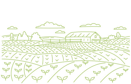 Landscape field panorama. Young shoot. Farm barn. Vector line. Editable outline stroke.のイラスト素材