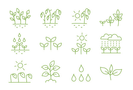 Growing and watering plants. Set of icons. Vector editable outline stroke.のイラスト素材