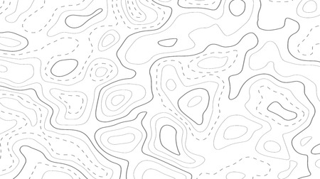 Relief topographic map of the area with high-level contour contours and geodetic grid. Abstract vectror line background isolated on white.のイラスト素材