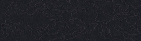 Relief topographic map of the area with high-level contour contours and geodetic grid. Abstract vectror line background isolated on white.のイラスト素材