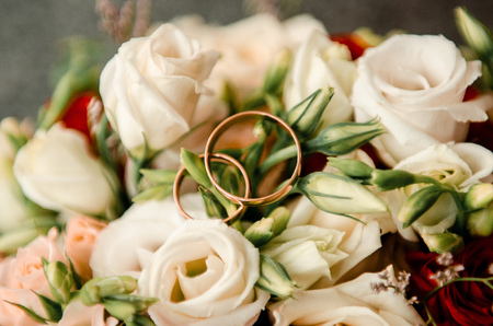 The bride, groom, wedding ringsの写真素材