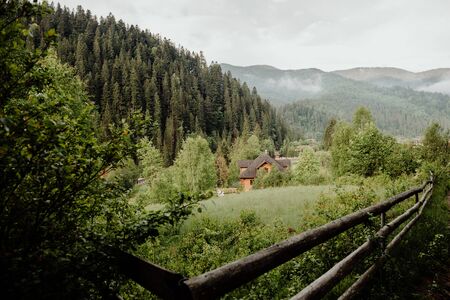 lonely tree house shade of dense thickets of trees and grass at the foot of a mountain with...