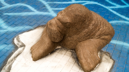 Walrus sculpture on the tile