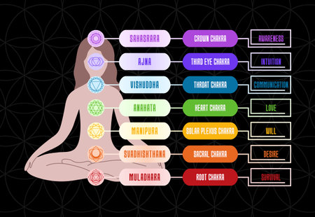 Seven chakras with it's names and meaning for yoga practice and meditation. Vector illustration...
