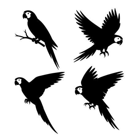 Set of parrots silhouettes on white background. Vector illustration.のイラスト素材