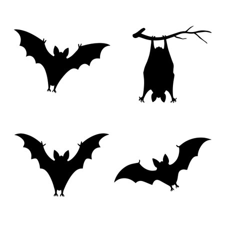 Set of silhouettes of bats on a white background. Vector illustrationのイラスト素材