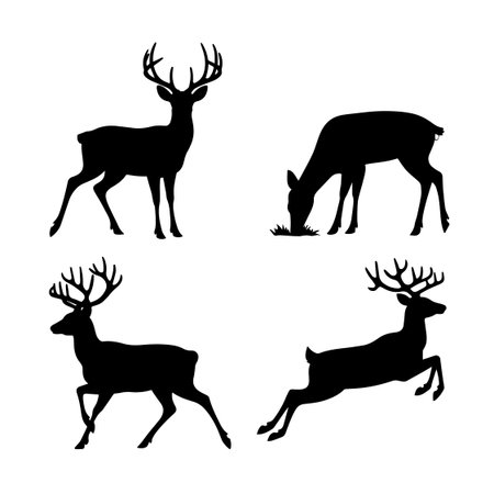 Set of silhouettes of deer on a white background. Vector illustrationのイラスト素材