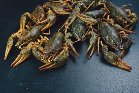 Fresh green crayfish with dark backgroundの写真素材