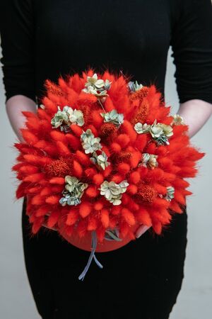 Bouquet in red hat box of dried flowers in the hands of a woman florist on light background. Lagurus, hydrangea.の写真素材