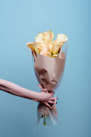 Bouquet of calla flowers in beige package in the hand of a woman florist on a blue background.の写真素材