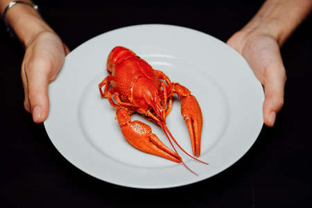 boiled crayfish in hands on a white plate on a black background