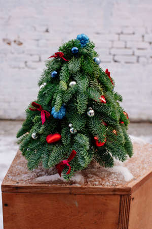 Christmas tree arrangement made of fir branches on wooden box on background white brick wall.の写真素材