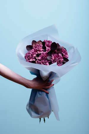 Bouquet of flowers in blue transparent package in the hands of a woman florist on a blue background .. Carnation, cotinusの写真素材