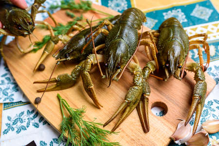 live crayfish on a wooden board on a blue tableclothの写真素材