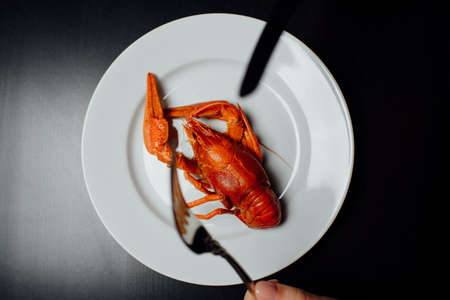 boiled crayfish on a white plate, knife and fork in hand on a black background minimalismの写真素材