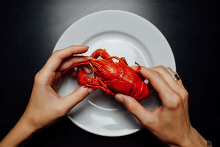 boiled crayfish in hands on a white plate on a black backgroundの写真素材