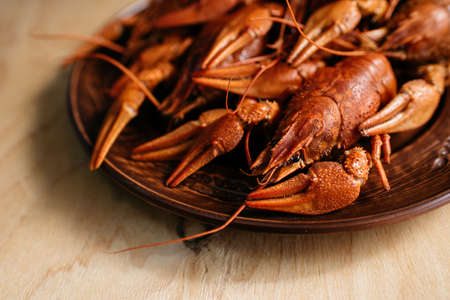 boiled crayfish on a plate on a wooden tableの写真素材
