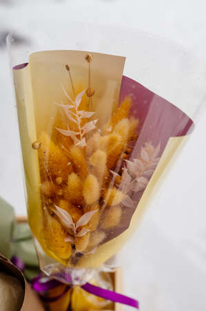 Beautiful bouquet of lagurus in transparent and yellow-purple packaging on white snowの写真素材