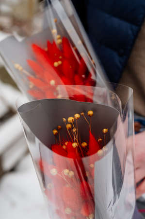 Two small beautiful bouquet of lagurus in transparent and gray packaging in hands of womanの写真素材