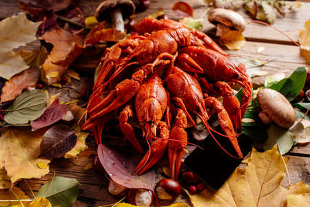 Boiled crayfish on wooden table with autumn leaves, mushrooms and chestnuts.の写真素材