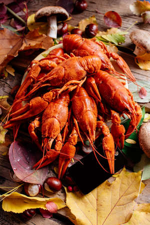 Boiled crayfish on wooden table with autumn leaves, mushrooms and chestnuts.の写真素材