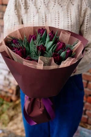 Bouquet of red tulips and mimosa leaves in burgundy package in the hands of girl florist in knitted pullover on brick wall background.の写真素材