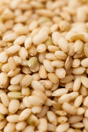 grainの写真素材