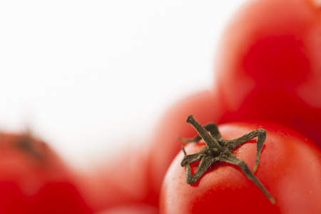 tomatoの写真素材