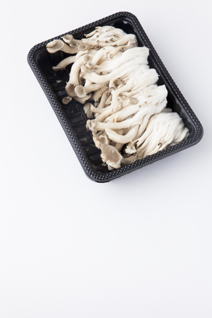 mushroomの写真素材