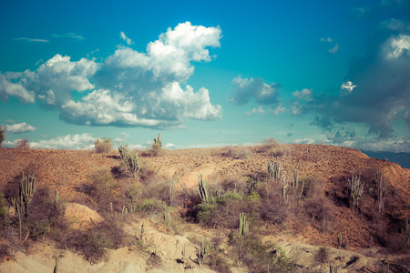 big cactuses in red desert, tatacoa desert, columbia, latin america, clouds and sand, red sand in desertの写真素材