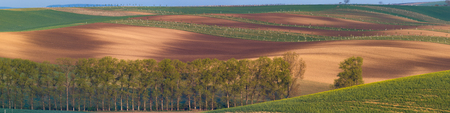 South Moravian fields, moravia, rows, czech republic, moravian landscapeの写真素材