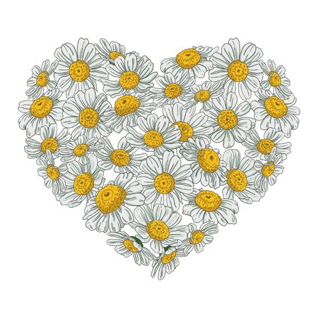 Image of a big heart made of white-yellow daisies on a white background. Bouquet in the form of a heart. Vector drawing for cards and prints.のイラスト素材