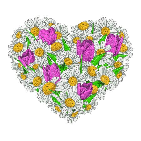 Flower heart of bright pink tulips with green foliage and white-yellow daisies on a white background. Vector illustration.のイラスト素材