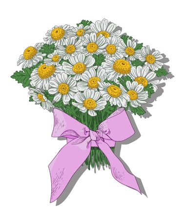 A festive delicate bouquet of white-yellow daisies tied with a pink ribbon on a white background. Vector drawing for cards and posters.のイラスト素材