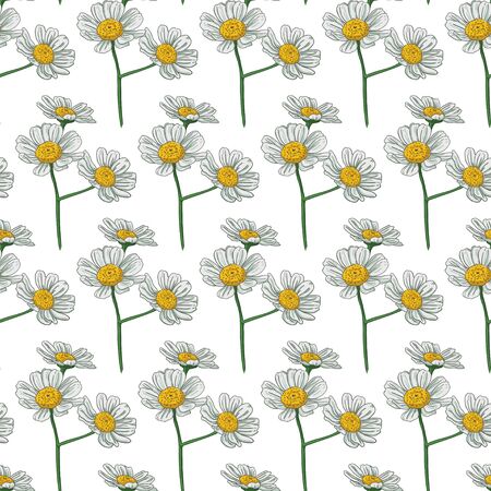 Botanical camomile flowers seamless pattern. Delicate pattern of repeating white and yellow flowers on a white background. Suitable for textiles and wrapping paper.のイラスト素材