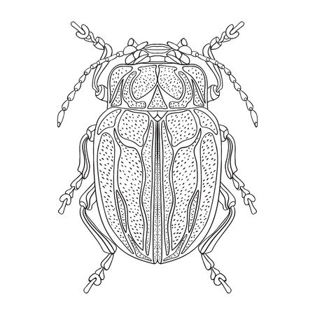 Big mustachioed beetle. Black and white vector sketch drawing. Suitable for posters and prints on clothes.のイラスト素材
