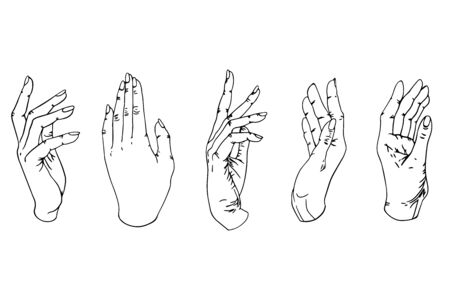 Sketch set of female hands. Individual body parts on a white background. Black and white vector illustration.のイラスト素材