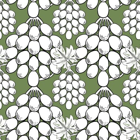 White bunches of grapes on a green background. Seamless vector pattern for different surfaces.のイラスト素材