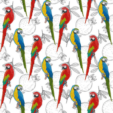 Large colored parrots on a vegetable monochrome background. Red and green birds on a pomegranate pattern. Seamless vector pattern.のイラスト素材