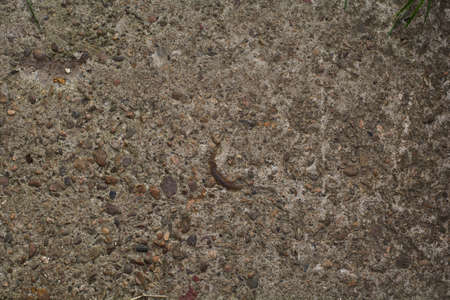Background image abstraction of texture and patternの写真素材