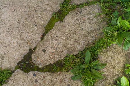 Background image abstraction of texture and patternの写真素材
