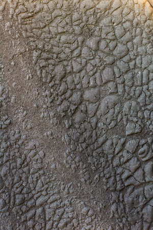 Background image abstraction of texture and patternの写真素材