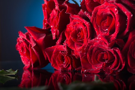 Red beautiful roses on a blue background. Shiny surfaceの写真素材