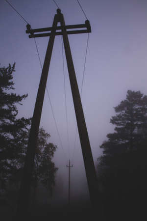 Autumn forest in the morningの写真素材