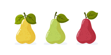 Set of three pears. Isolated appetizing fruit. vector illustrationのイラスト素材